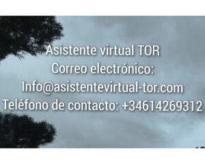 Asistente virtual TOR